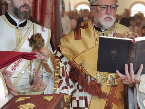 IMG_20230806_084053_resize