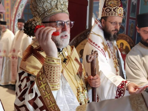 IMG_20230806_084142_resize