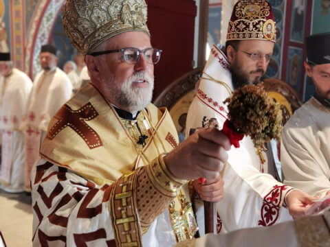 IMG_20230806_084143_resize