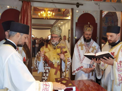 IMG_20230806_084150_resize