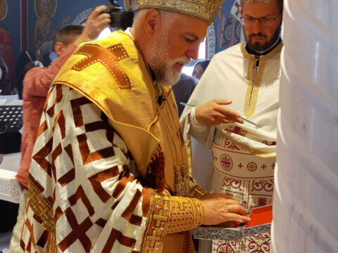 IMG_20230806_084322_resize