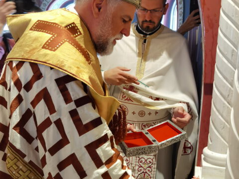 IMG_20230806_084327_resize