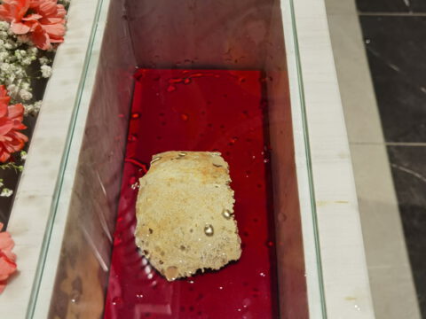 IMG_20230806_084429_resize