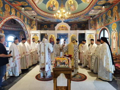 IMG_20230806_084641_resize