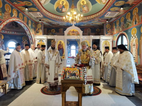 IMG_20230806_084649_resize