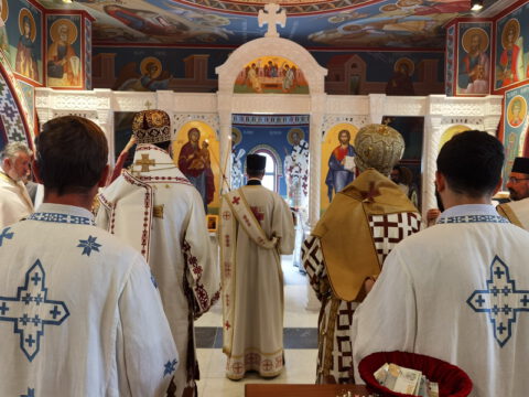 IMG_20230806_085232_resize