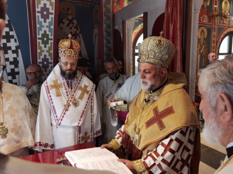 IMG_20230806_091309_resize