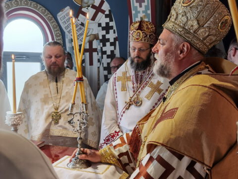 IMG_20230806_091422_resize