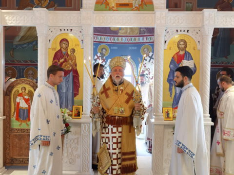 IMG_20230806_091507_resize