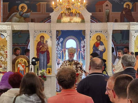 IMG_20230806_093441_resize