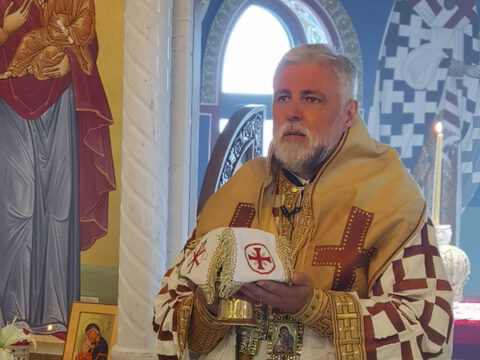 IMG_20230806_100352_resize