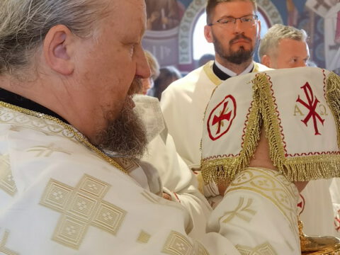 IMG_20230806_100411_resize