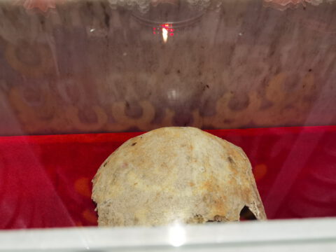 IMG_20230806_101151_resize