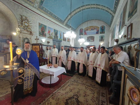 IMG_20230809_181205_resize