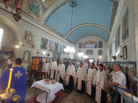 IMG_20230809_181211_resize