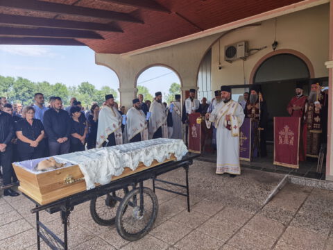 IMG_20230818_121443_resize