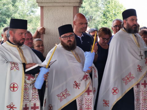 IMG_20230818_121518_resize