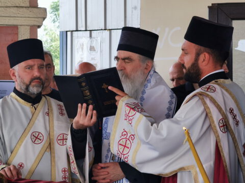 IMG_20230818_122109_resize