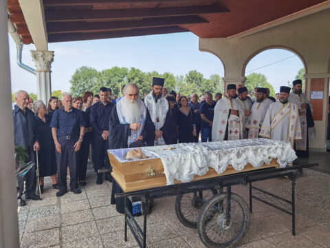 IMG_20230818_124106_resize