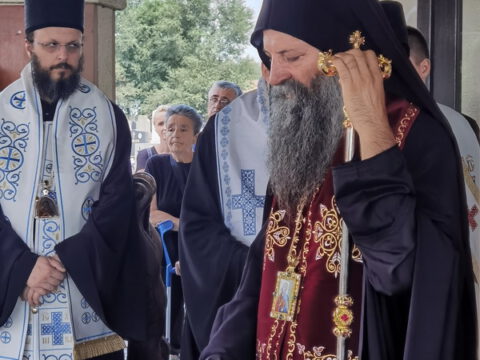 IMG_20230818_124646_resize