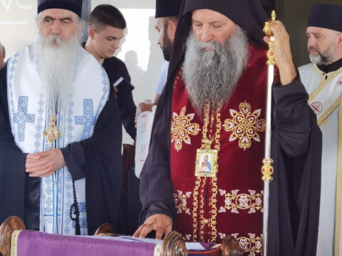 IMG_20230818_124652_resize