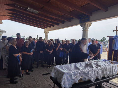 IMG_20230818_124812_resize