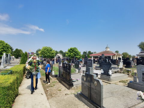 IMG_20230818_125251_resize