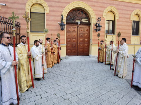 IMG_20230819_085805_resize