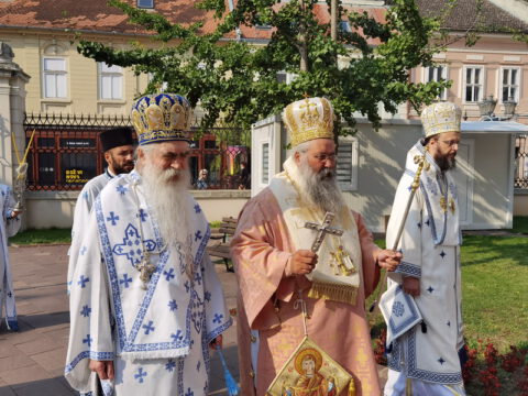 IMG_20230819_090020_resize