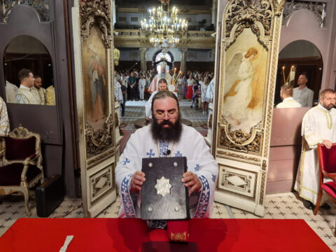 IMG_20230819_090519_resize