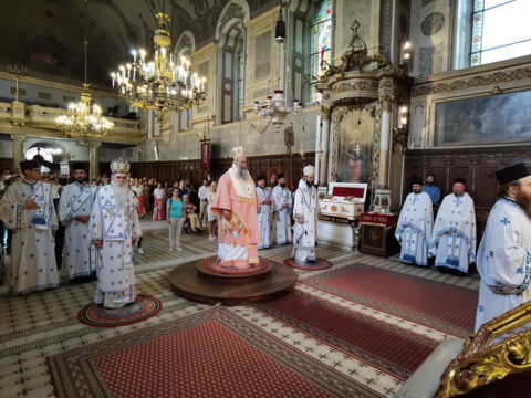 IMG_20230819_090601_resize