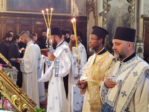 IMG_20230819_091422_resize