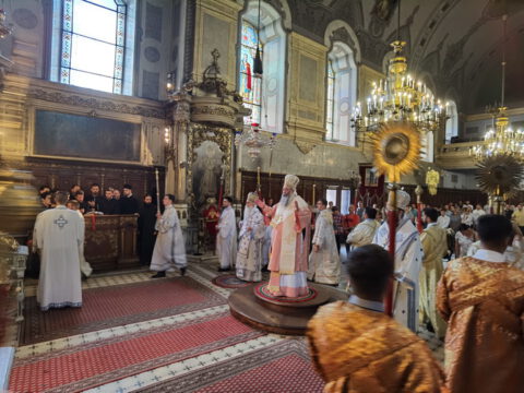 IMG_20230819_091652_resize