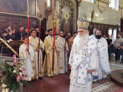 IMG_20230819_091912_resize