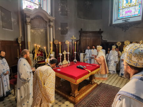 IMG_20230819_092016_resize