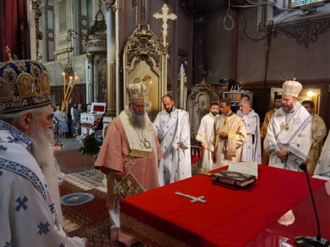 IMG_20230819_092310_resize