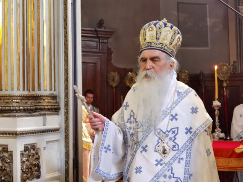 IMG_20230819_092555_resize