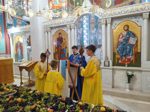 IMG_20230819_092827313_resize