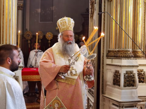 IMG_20230819_093124_resize