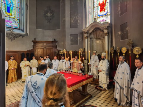 IMG_20230819_093831_resize