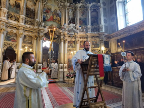 IMG_20230819_093944_resize