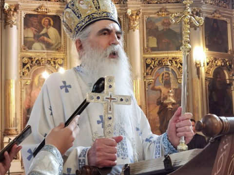 IMG_20230819_094431_resize