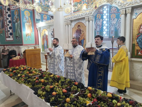 IMG_20230819_094725969_resize