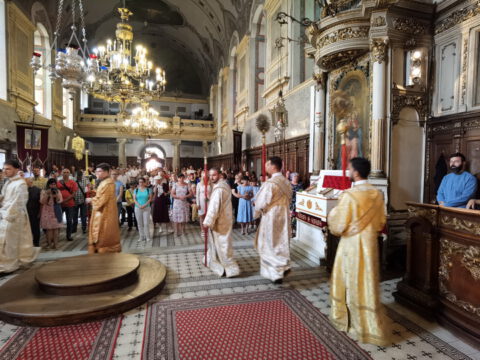 IMG_20230819_100756_resize