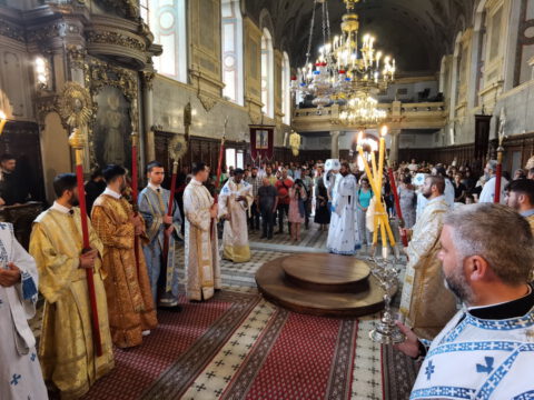 IMG_20230819_100826_resize