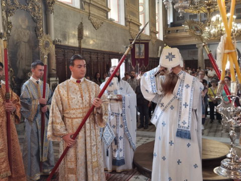 IMG_20230819_100844_resize