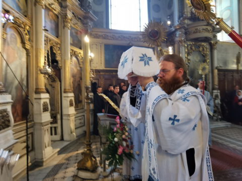 IMG_20230819_100858_resize