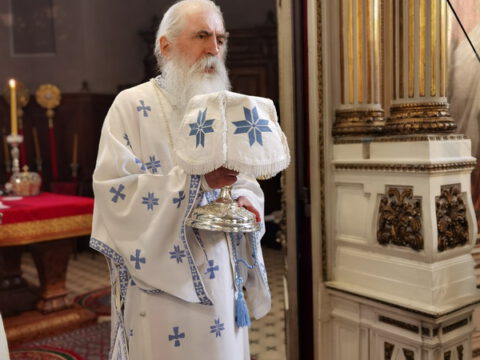 IMG_20230819_101144_resize