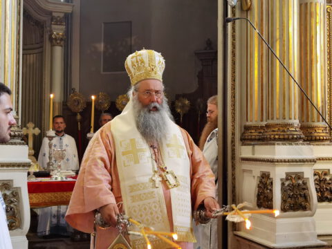 IMG_20230819_102025_resize