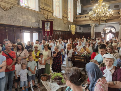 IMG_20230819_104408_resize